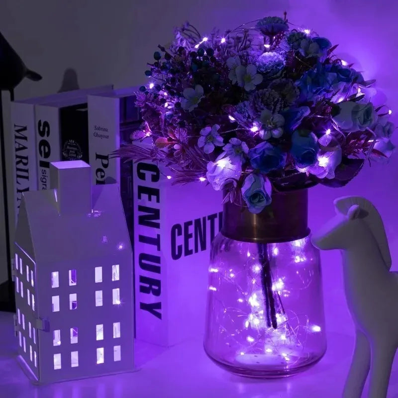 Battery-Powered Copper Wire String Lights