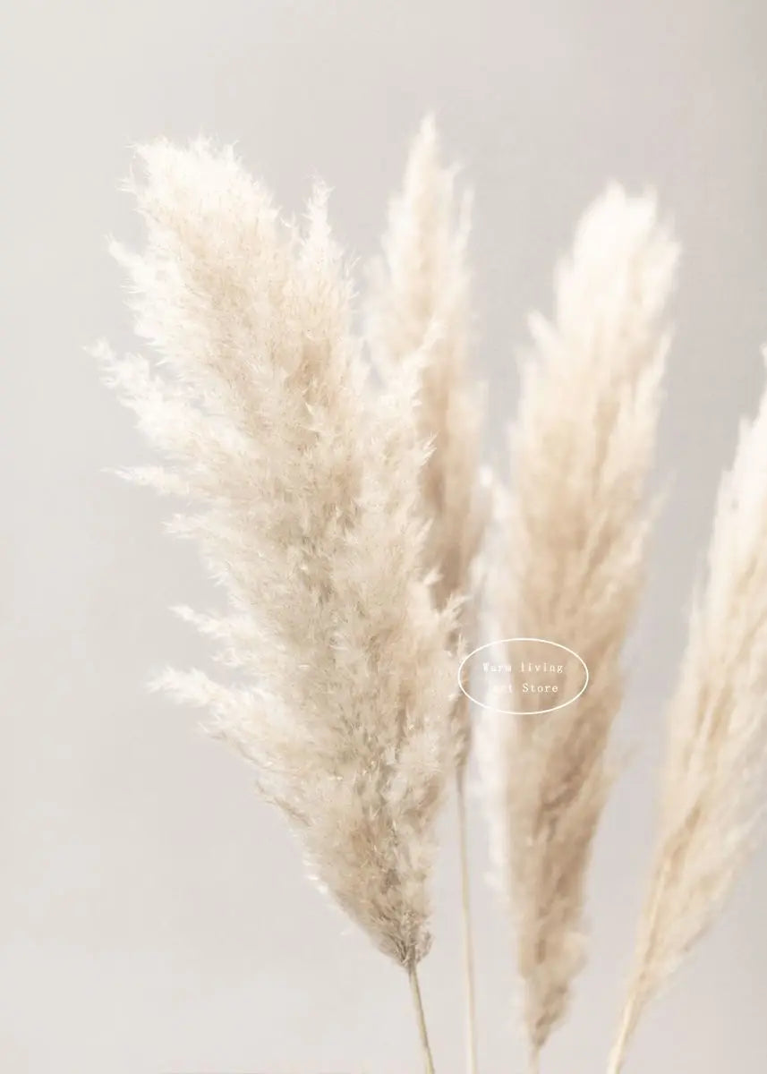 Pampas Grass and Sea Waves Canvas Wall Art