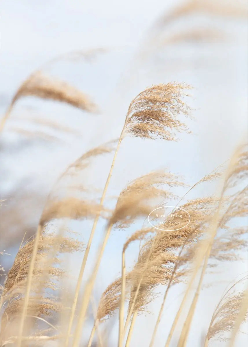 Pampas Grass and Sea Waves Canvas Wall Art