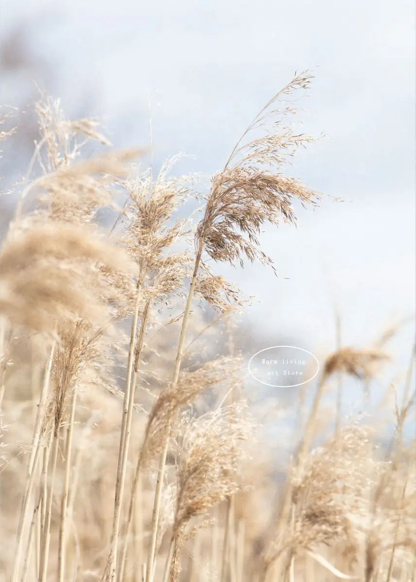 Pampas Grass and Sea Waves Canvas Wall Art