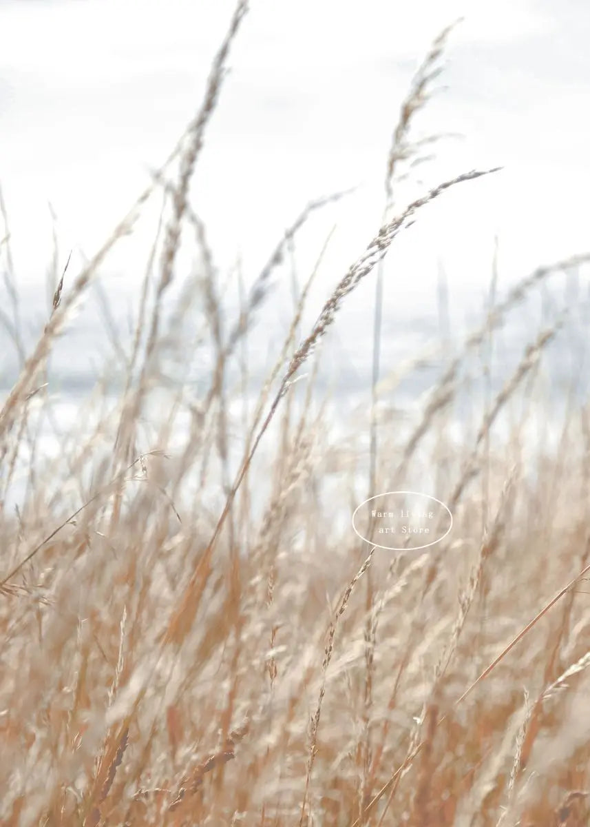 Pampas Grass and Sea Waves Canvas Wall Art