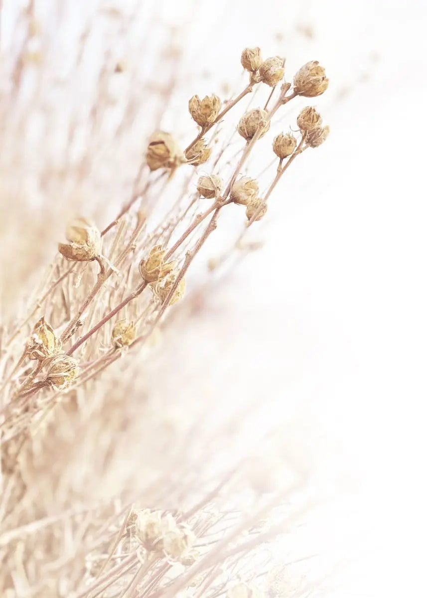 Pampas Grass and Sea Waves Canvas Wall Art