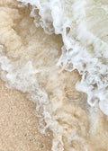 Nature Beach Sea Waves Pampas Grass Grey Poster Grass Reed and Sky Landscape Canvas Painting Pictures for Living Room Home Decor
