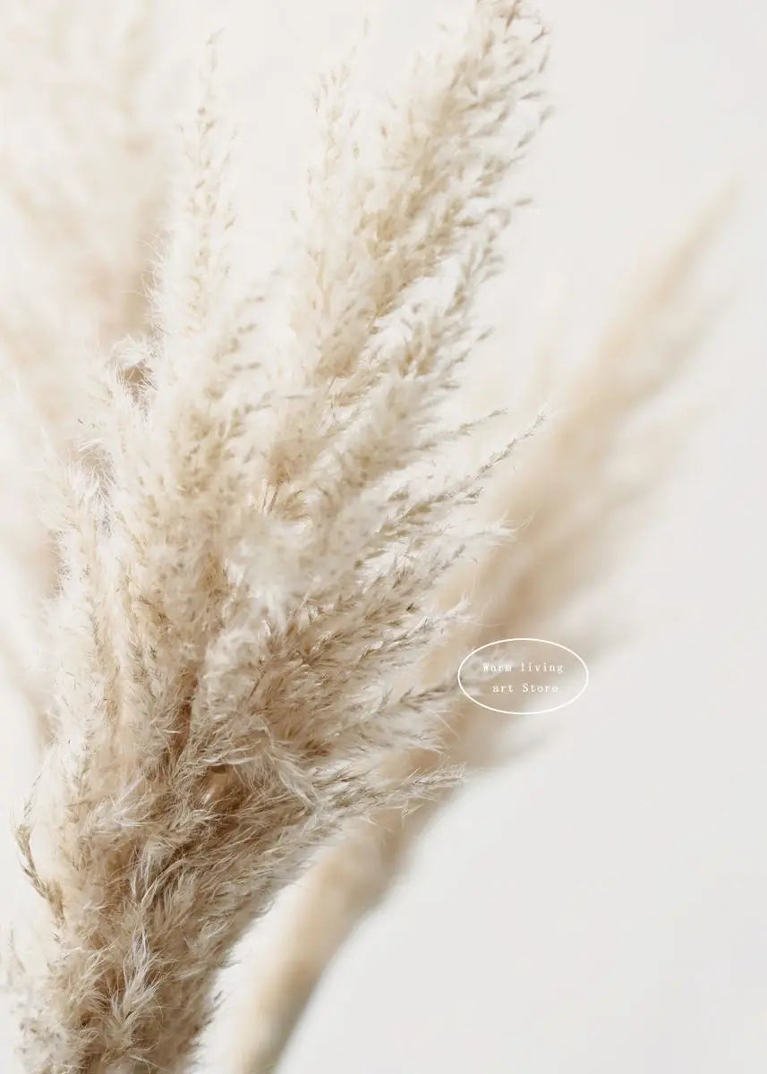 Pampas Grass and Sea Waves Canvas Wall Art